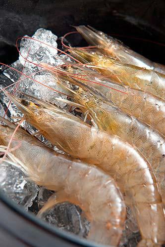 挪威梭子蟹冻龙虾海鲜进口门到门批发