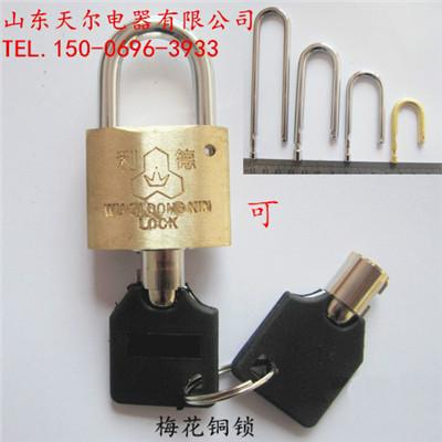 电力表箱锁具锁体铜挂供应电力表箱锁具锁体铜挂