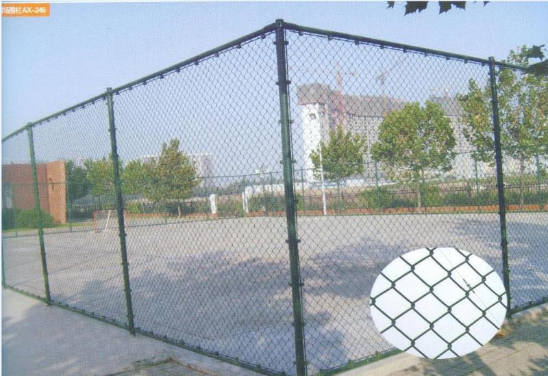 供应篮球围网 篮球围网厂家报价 篮球围网生产定制 篮球围网规格图片