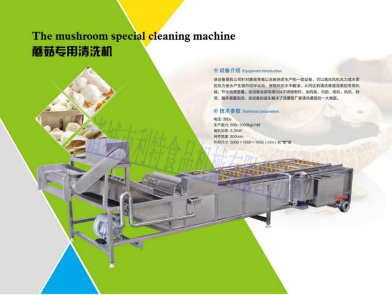 供应高品质蘑菇专用清洗机利特厂家直销蘑菇香菇专用清洗设备