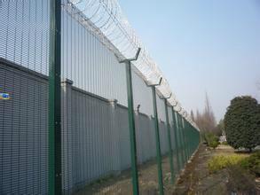 供应用于护栏网生产的镀锌浸塑网片围栏网|惠州围栏网