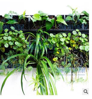 广州市立体绿化墙垂直墙面种植装饰绿色植厂家