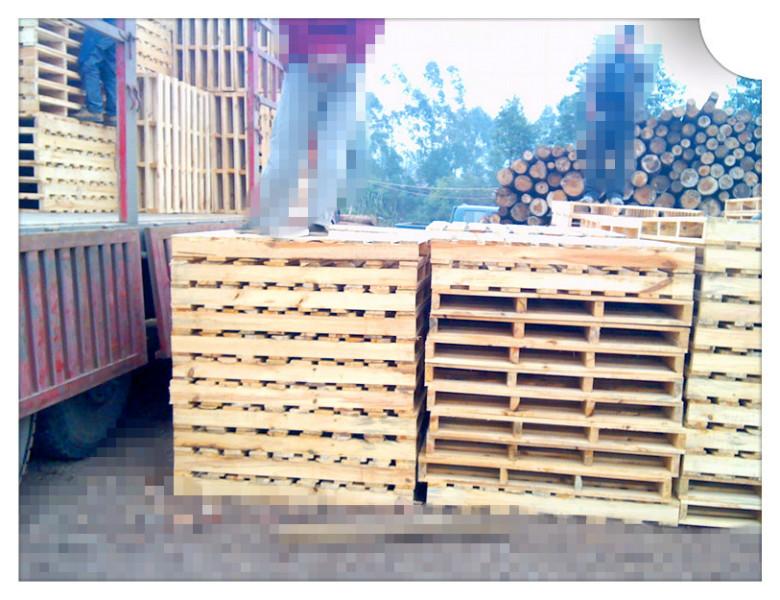 东莞杉木优质供应商直销批发价格