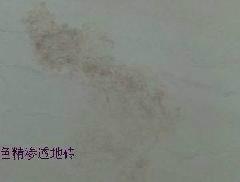 供应杭州地板砖清洁剂品牌厂家，杭州地板砖清洁剂厂家效应