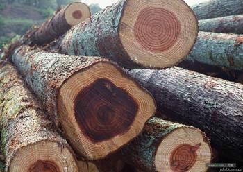 供应宁波木材进口报关费用是多少？