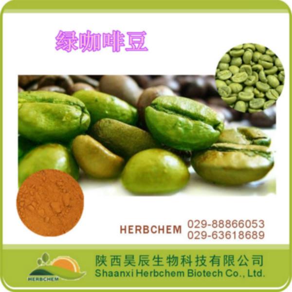 供应绿原酸10-50 绿咖啡豆提取物皮肤