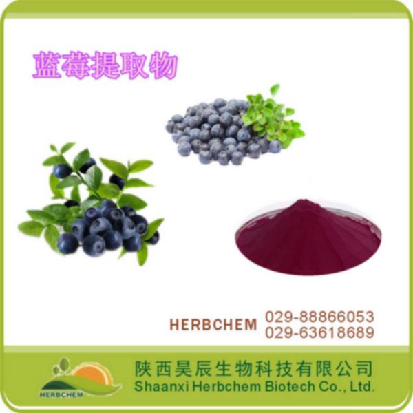 西安厂家供应蓝莓提取物 5 25花青素