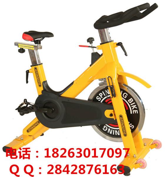 供应室内健身器材脚踏车健身房单车品牌