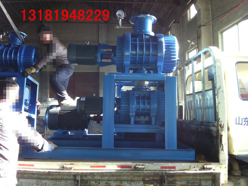 ZJP150-300罗茨水环泵批发