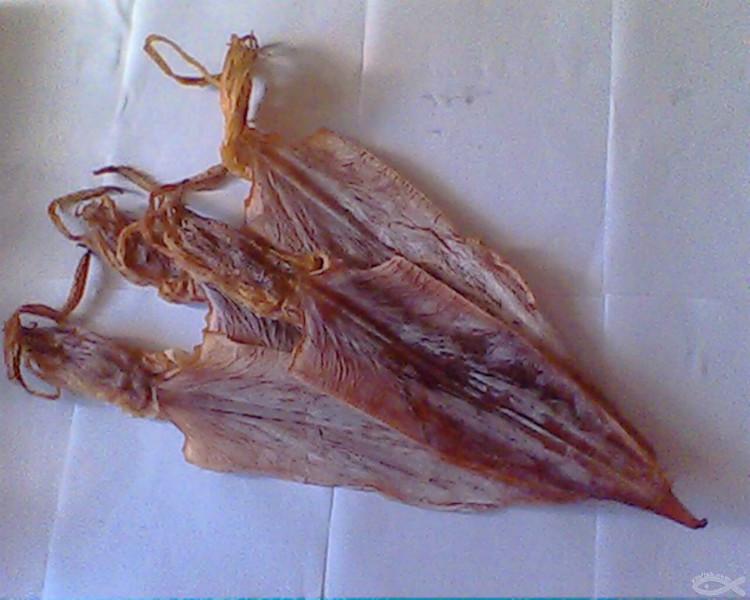 供应批发各种干货制品鱿鱼干红菇海参图片