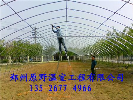 郑州市几字钢温室建造基地日光温室建造厂家供应用于温室大棚的几字钢温室建造基地日光温室建造