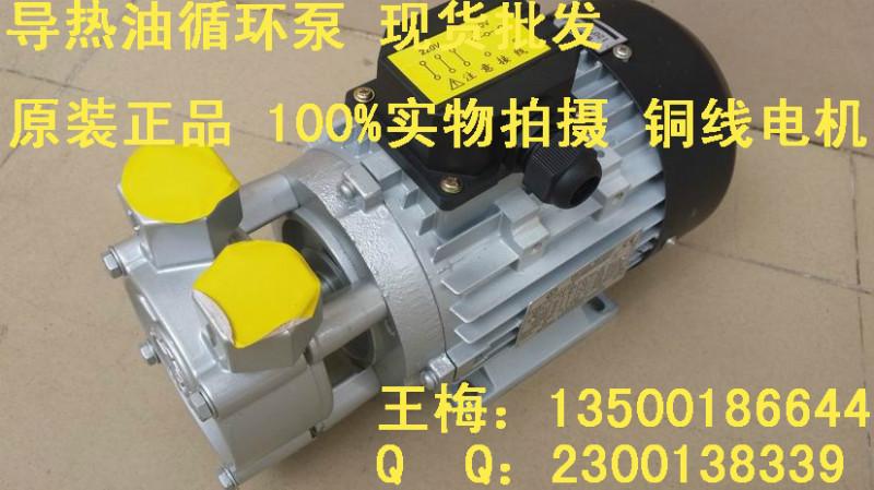 台湾元新YS-20B模温机油泵现货批发台湾元新YS-20B模温机油泵现货批发