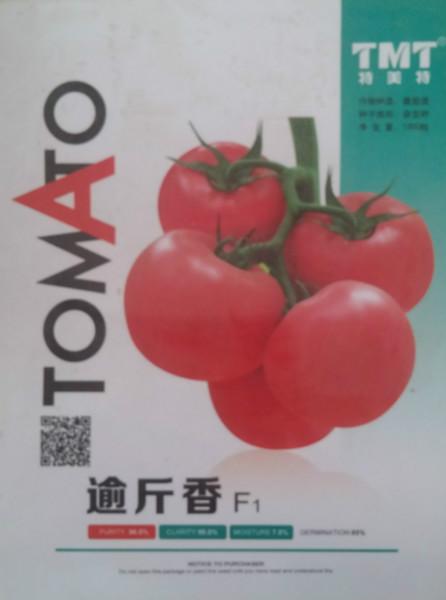 供应逾斤香抗TY高产番茄种子图片