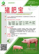 供应猪饲料快速出栏猪肥壮猪催肥猪肥宝、猪饲料、饲料添加剂、快速出栏，