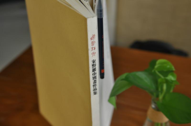 供应宋野岩作品集设计郑州书法画册创意设计 书法书册书籍设计 印刷出版