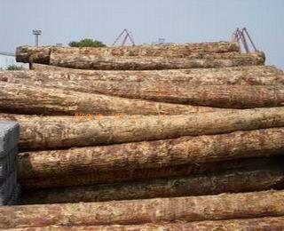 厦门如何进口国外木材需要什么手续批发
