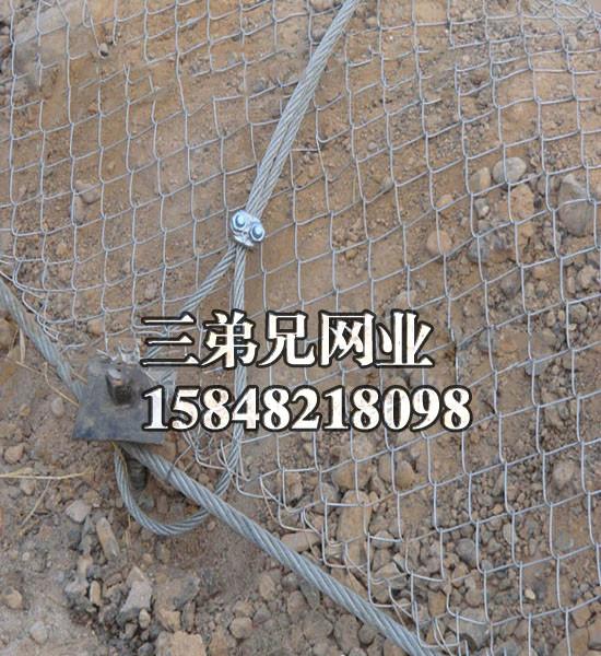 哈尔滨钢丝绳挂网山体防护网 生态边坡防护网